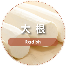 大根 | Radish