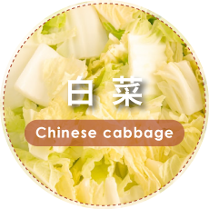 白菜 | Chinese cabbage