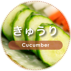 きゅうり | Cucumber